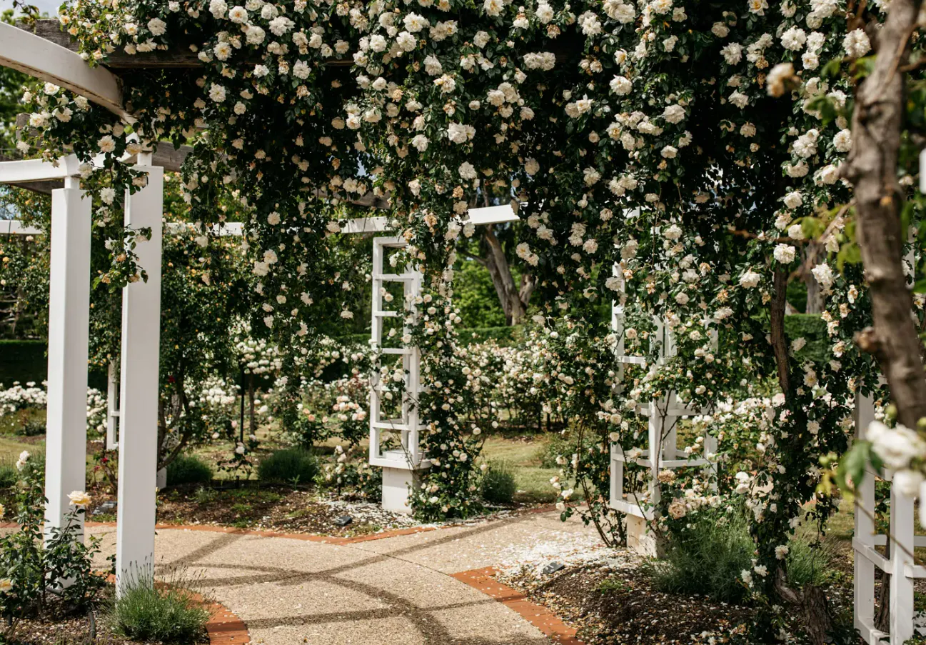 Old Parliament House gardens