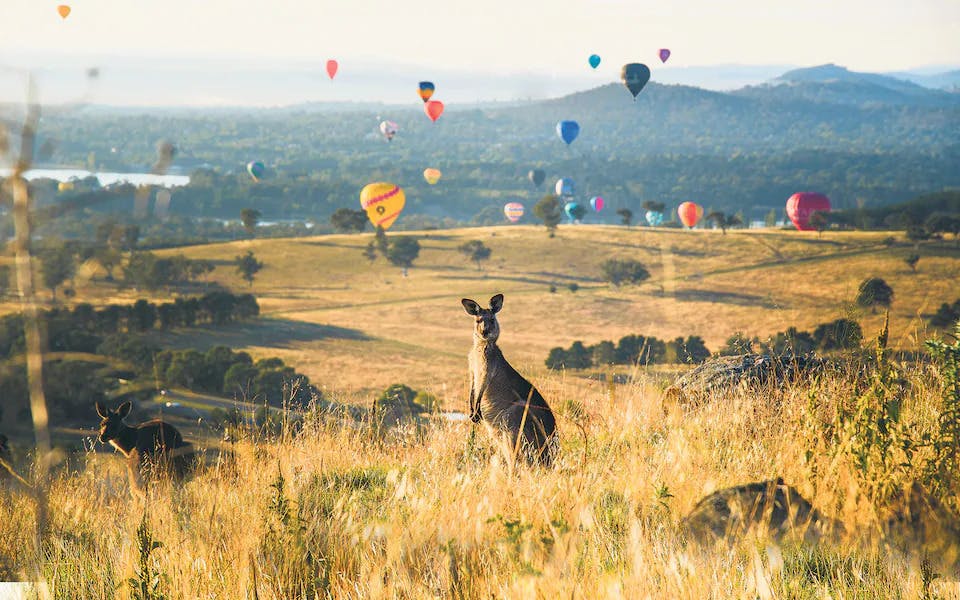 Tidbinbilla