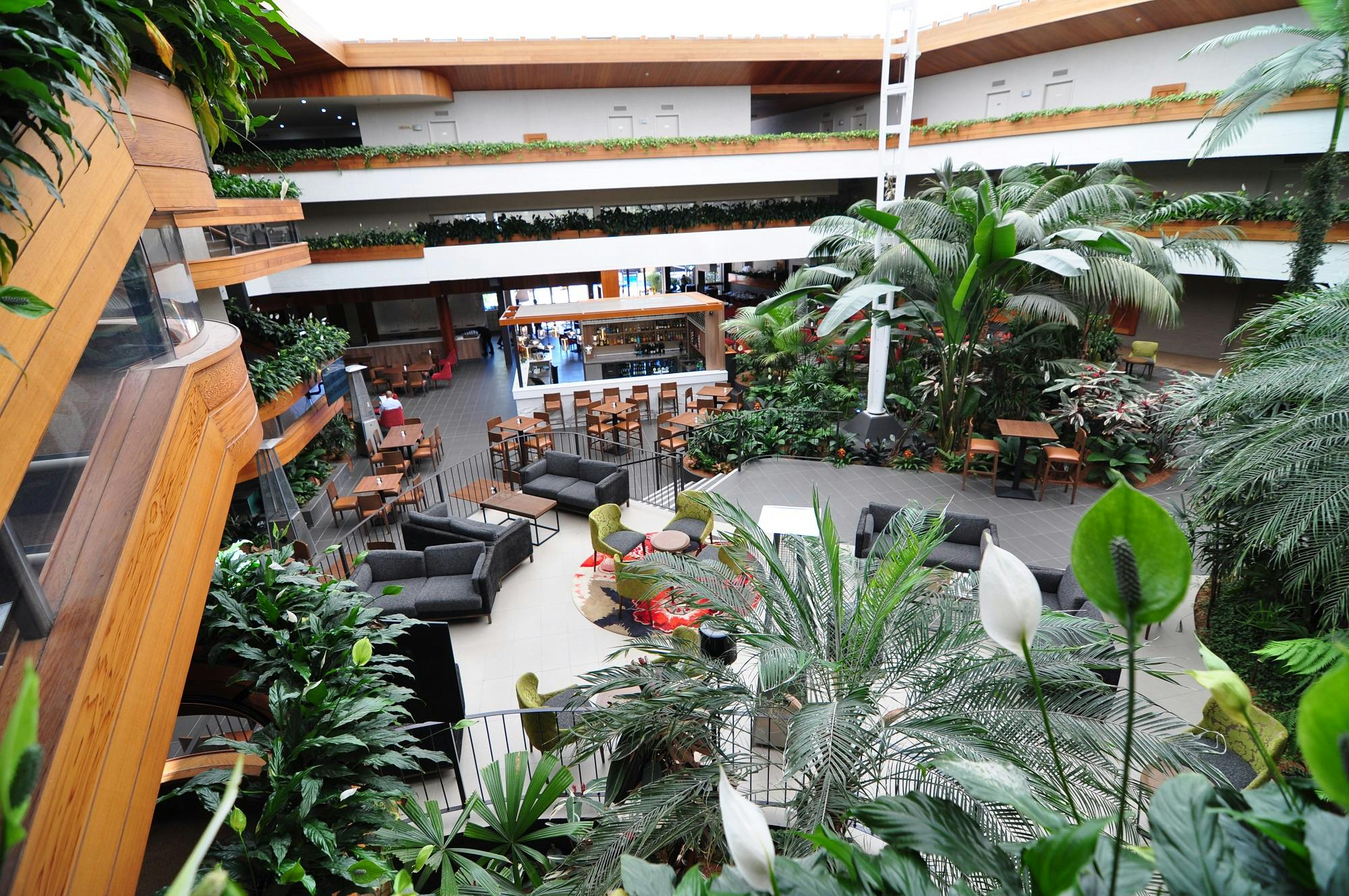 61ef951cf3a0e6.85292172